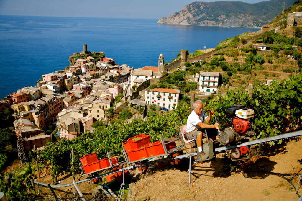 vernazza2
